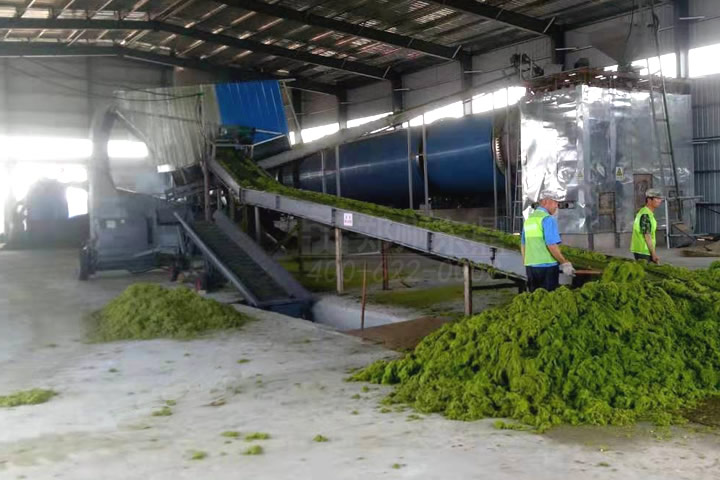 滸苔烘干機(jī)能耗低，獨(dú)特的脫水加烘干工藝，大大降低烘干成本，成功解決滸苔之患。