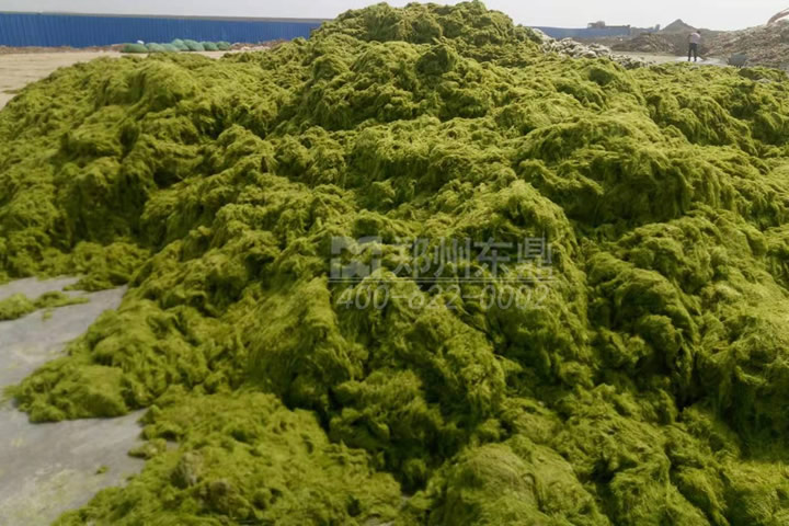 牧草烘干機(jī)如何科學(xué)選型？牧草烘干過程中營養(yǎng)成分會(huì)流失嗎